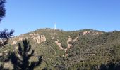 Trail Walking Saint-Raphaël - Belle Barbe Pic d'Aurelle Pic du Cap Roux Grotte St Honorat - Photo 10