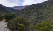 Tour Wandern La Vacquerie-et-Saint-Martin-de-Castries - GR7 St Guilhem le Désert! - Photo 7