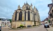 Tour Wandern Joigny - Joigny - Villeneuve sur Yonne et 2/3  - 35 km IBP 97 - Photo 18