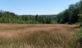 Tour Wandern Beauraing - Felenne 080722 - Photo 10