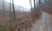 Trail Walking Verviers - mariomont - la gileppe aller via 