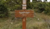 Trail Walking Aspremont -  le tour du Mont Chauve d'Aspremont - Photo 18