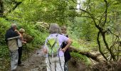 Tour Wandern Dinant - Falmagne - Photo 20