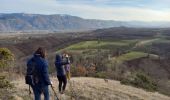 Trail Walking Varacieux - Le Molard d'Essemat- Varacieux - Photo 9