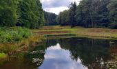 Trail Walking Gedinne - Balade à Bourseigne-Vieille - Gedinne - Photo 4