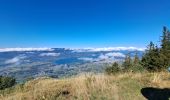 Tocht Stappen Les Déserts - la croix du Nivollet  - Photo 5