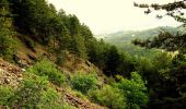 Tour Zu Fuß Coli - Boioli - Caminata Boselli - Monte Tre Sorelle - Gavi - Photo 1