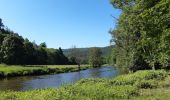 Trail Walking Stoumont - stoumont . corniche - congo . chateau froidcourt . ambleve . stoumont - Photo 4