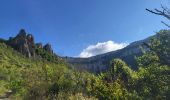 Randonnée Marche Tournemire - Tournemire - Cirque de Brias et sentier des échelles depuis Roquefort - Photo 1