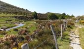 Tocht Mountainbike Vialas - Mas de barque tracé 2 - Photo 5