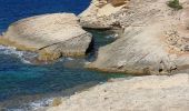 Randonnée Marche Patrimonio - sentier du littoral de St Florent à Punta di Saeta - Photo 9