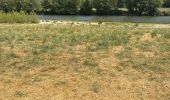 Trail Walking Millau - Millau Tarn - Photo 1