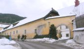 Tour Zu Fuß Aflenz - Hausberg-Rundmeile - Photo 1