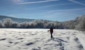 Tocht Sneeuwschoenen Grande-Rivière-Château - Lac de l abbaye - Photo 2