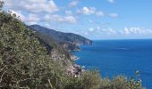 Trail Other activity Vernazza - Vernazza to Monterosso to Vernazza  - Photo 4