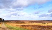 Excursión Senderismo Waimes - La grande ronde des Fagnes   - Photo 4