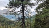 Excursión Senderismo La Thuile - Cascade du Ruitor La Thuile - Photo 1