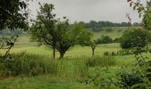 Percorso Marcia Borgloon - A travers les vergers de Borgloon  - Photo 7