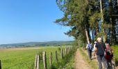Trail Walking Paliseul - Maissin, pvl juillet 2025 - Photo 16