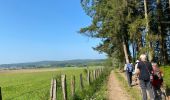 Tour Wandern Paliseul - Maissin - Photo 16