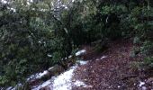 Trail Walking Escragnolles - Escragnolles , Rouyère chapelle Saint Matin en hiver - Photo 13