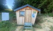 Trail Walking Hauteluce - Les Saisies - Photo 2