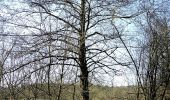 Percorso A piedi Schwaig bei Nürnberg - Schwaiger Rundgang - Photo 6