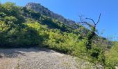 Trail Walking Cize - Cize  - Photo 17