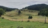 Trail Walking Cusy - 13-09-2022 La Grand-Raie au Col de la Cochette - Photo 9