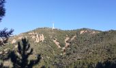Trail Walking Saint-Raphaël - Pic d'Aurelle-Pic du Cap Roux - Grotte St Honorat depuis col Belle Barbe - Photo 6