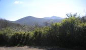 Percorso A piedi Norma - Selva di Cori- Monte Lupone - Photo 2