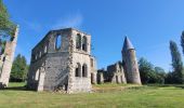 Randonnée Marche Chaumes-en-Brie - Châteaux autour de Chaumes en Brie - Photo 12