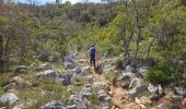 Tour Wandern Signes - Signes - L'éléphant de pierre - Photo 17