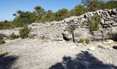 Trail Walking Solliès-Toucas - Siou Blanc - Photo 10