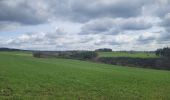 Tour Wandern La Roche-en-Ardenne - rando samrée 19-03-2024 - Photo 7