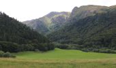 Excursión A pie Chambon-sur-Lac - La Vallée de Chaudefour - Photo 10