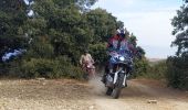 Excursión Motocross Villa de Otura - Granada- Jete- La Herradura - Photo 9
