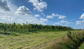 Randonnée Marche Wezembeek-Ophem - S-GR Groene Gordel: Tervuren - Kortenberg - Photo 9