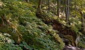 Trail On foot Besse-et-Saint-Anastaise - Le puy de Montchal et le Lac Pavin - Photo 8