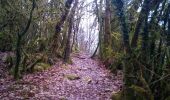 Trail Walking Arbois - ARBOIS  - Photo 17
