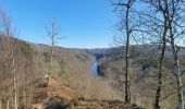 Trail Walking Florenville - rando herbeumont 8-03-2022 - Photo 11