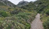 Excursión Senderismo Aureille - la tour des Opies - Photo 10