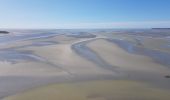 Tocht Stappen Le Mont-Saint-Michel - Le Mont St Michel,  Herbus, Sables, et Barrage de La Caserne. - Photo 3