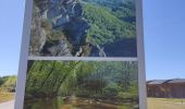 Tour Wandern Ménil-Hubert-sur-Orne - De Rouvroy aux Roches d'Oetre par le sentier des Méandres  - Photo 6