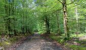 Tocht Stappen Spa - gare geronster . source sauveniere . berinzenne . source geronster . source barisart . chapelle de la roche . gare geronster - Photo 18