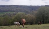 Tour Wandern Trooz - forêt  . st hadelin  . hansez . en gelivaux . foret - Photo 3