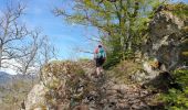 Trail Walking Muhlbach-sur-Bruche - Les chaumes de Grendelbruch - Photo 12
