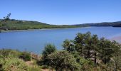 Tour Wandern Argol - Moulin neuf-Terenez-le Marros avec Ripley 05-07-2022 - Photo 1