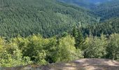 Trail Horseback riding Saint-Quirin - Camping st quirin belles roches abri Klein haut du bon Dieu halmoze lamperstein  - Photo 18