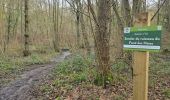 Trail Walking Ham-sur-Heure-Nalinnes - GR 129 Noirchien - N-D Loverval  - Photo 10